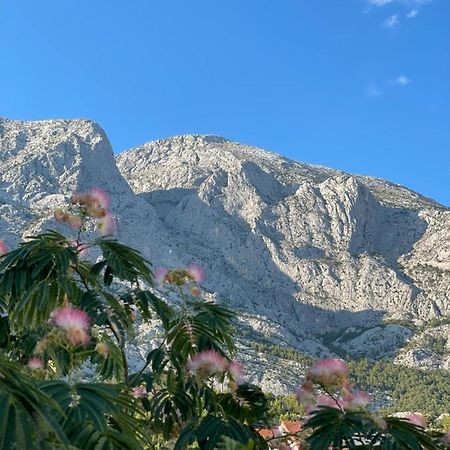 Heaven'S View Apartments Baska Voda Luaran gambar