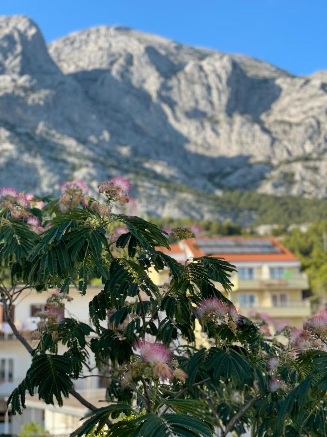 Heaven'S View Apartments Baska Voda Luaran gambar